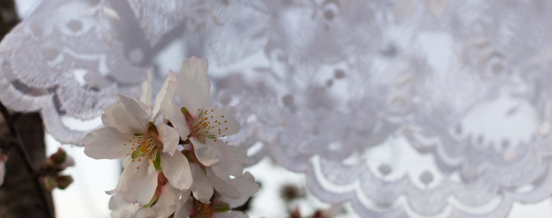 abito da sposa matrimonio